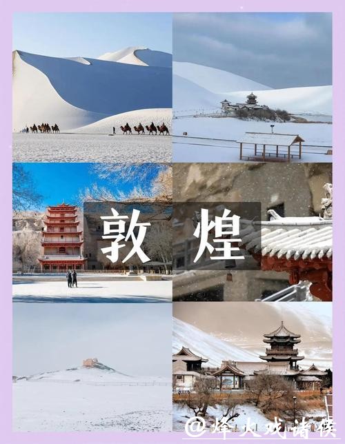 数量翻倍，热门线路很快售罄！“毛孩子旅行团”火了，春节宅家不如出门度假